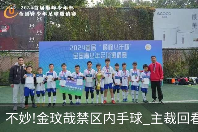 不妙!金玟哉禁区内手球 主裁回看VAR判点国安落后